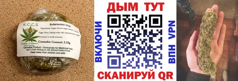 дарнет шоп Бакал Cannafood конопля