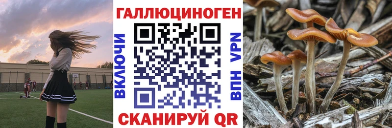 Галлюциногенные грибы Magic Shrooms  MEGA сайт  Бакал  как найти наркотики 